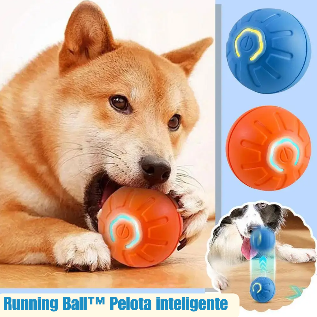 Running Ball™ Pelota inteligente para mascotas